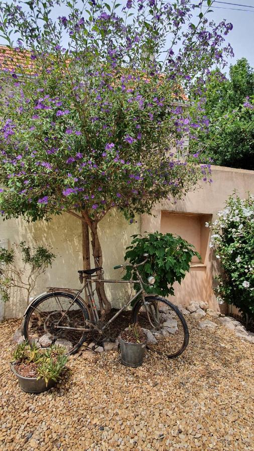 Gites "Tout Au Sud De La France" Pomerols Экстерьер фото